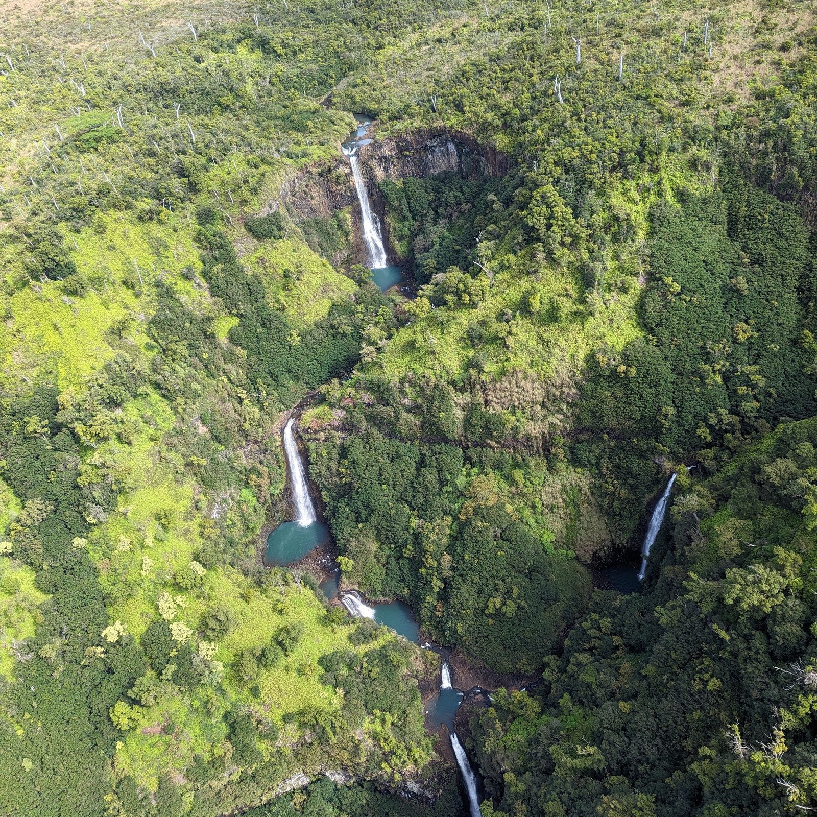 Twin waterfalls dropping through dense green jungle seen straight down from the helicopter