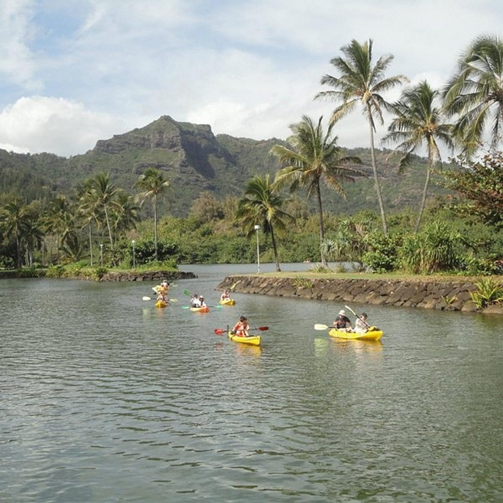 A group of yellow and red kayaks paddling upriver with palms and the mountains ahead