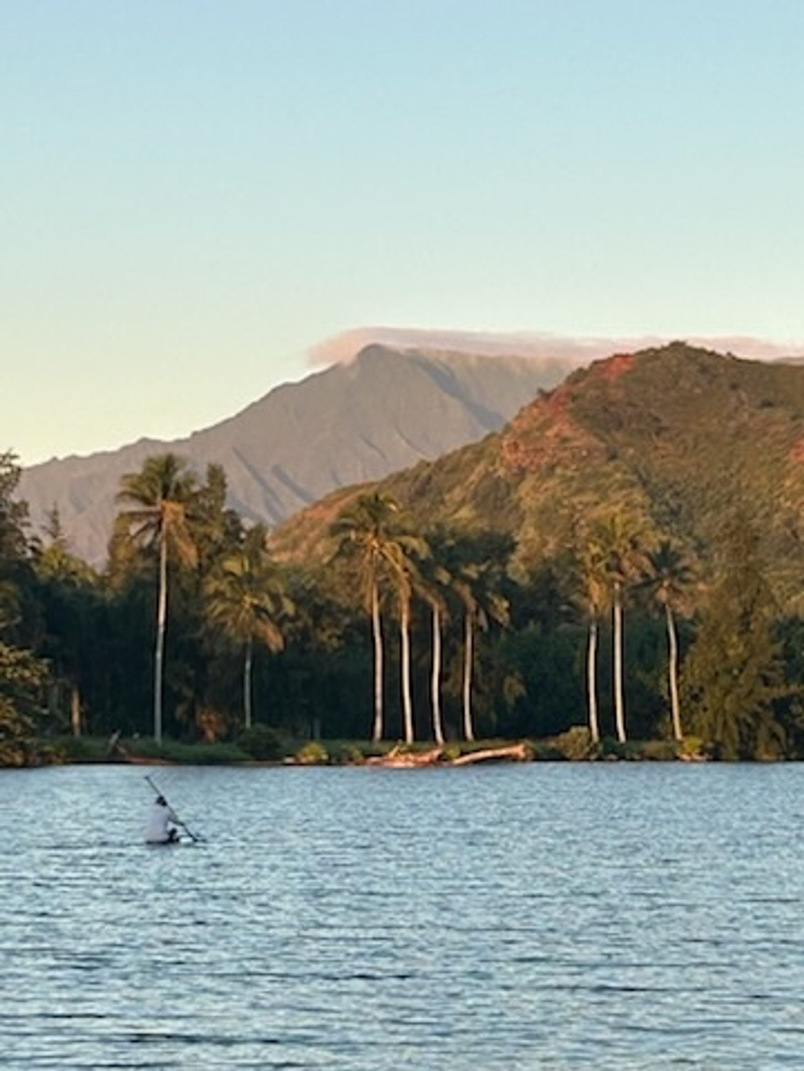 A lone paddler on the glassy river at sunrise with tall palms and a mountain behind