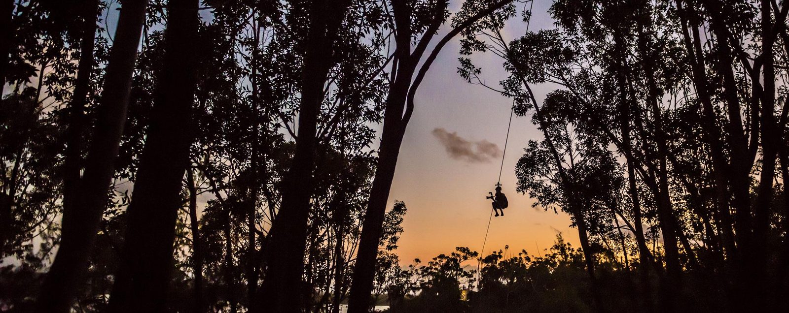 A rider silhouetted on a zipline between tall trees against an orange sunset sky